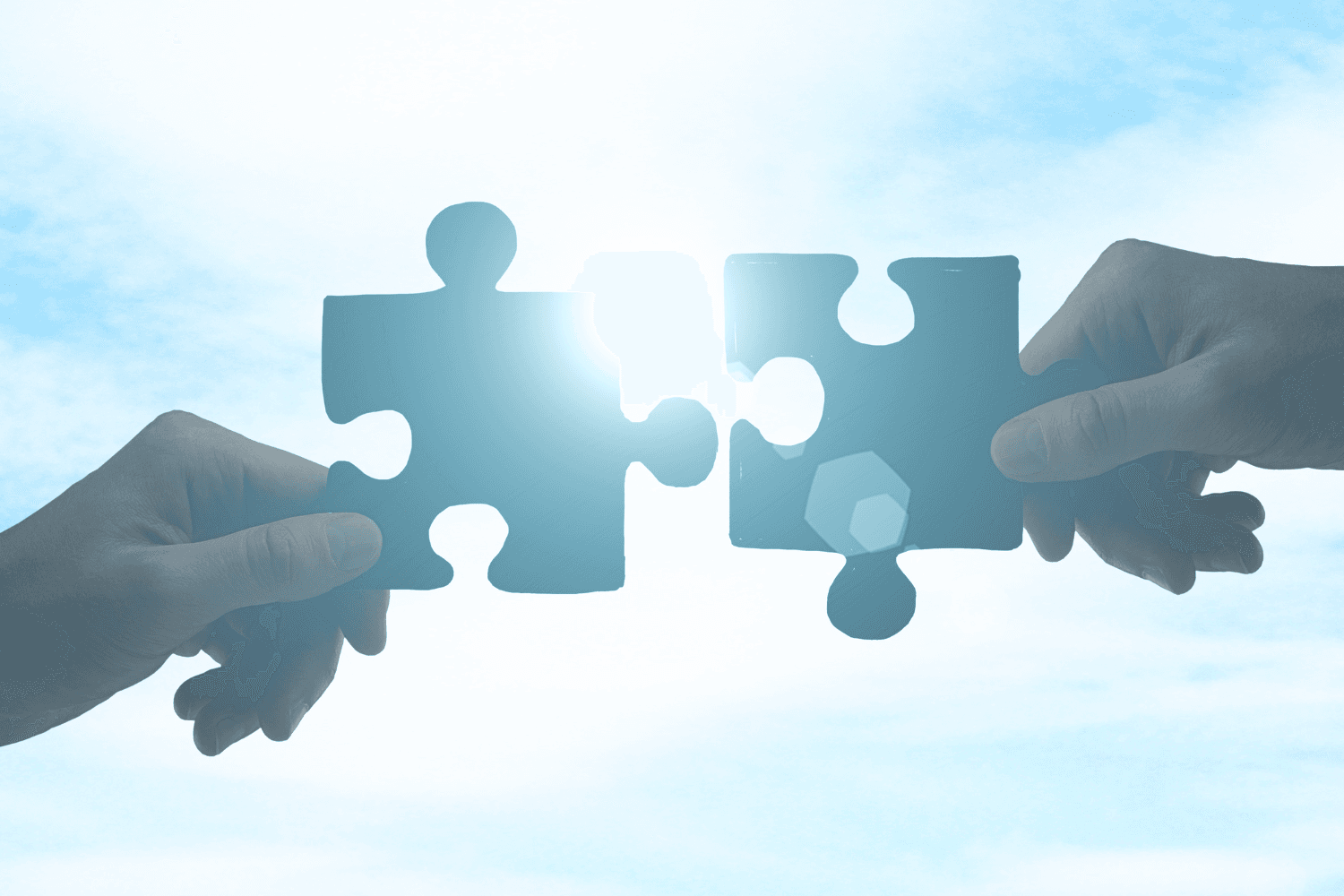 Partnership