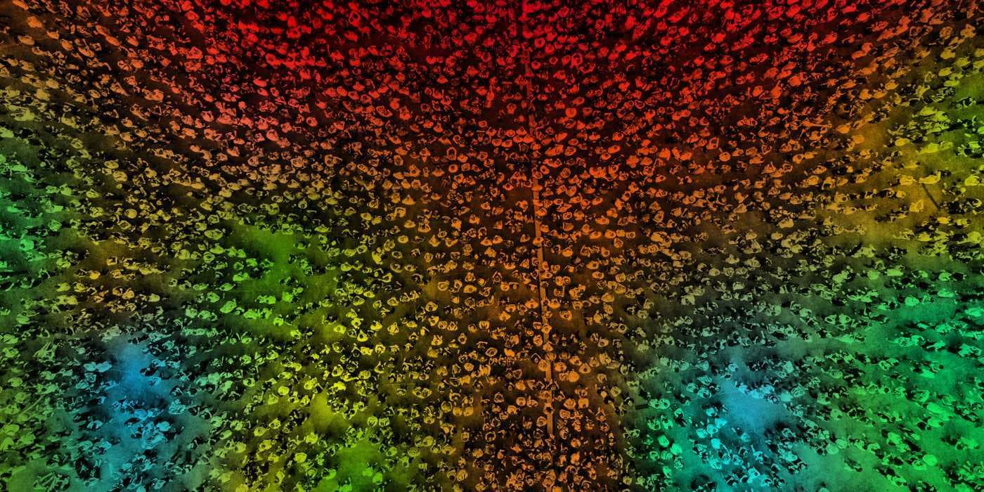 Imec persartikel